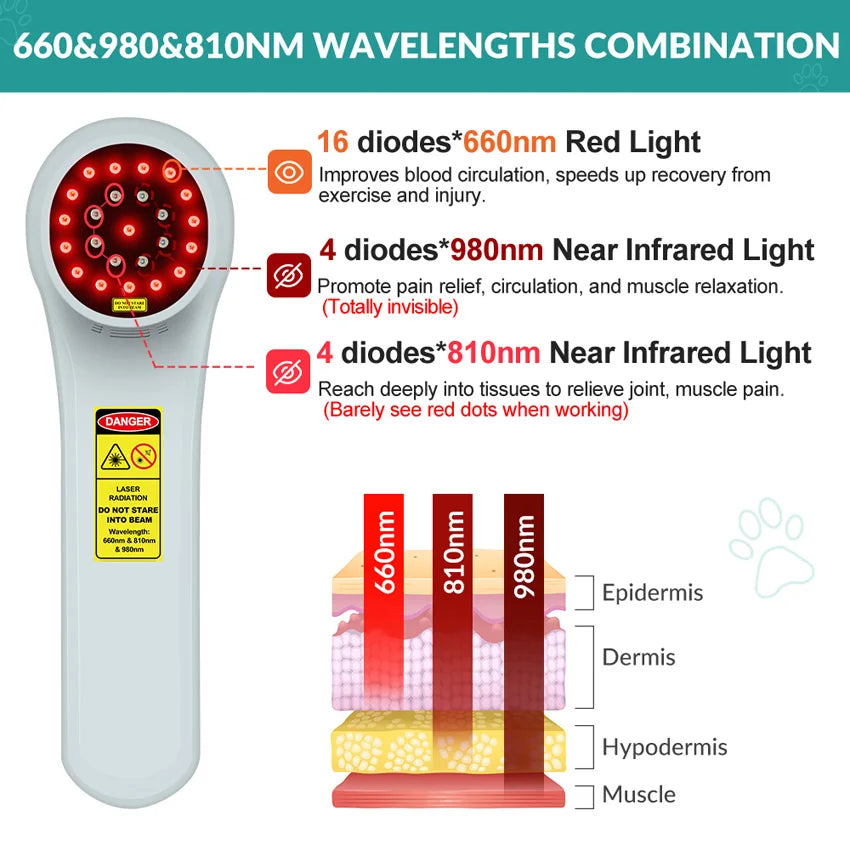 Professional High-Power Cold Laser Therapy Device – 1760mW Triple Wavelength (660nm 810nm 980nm)