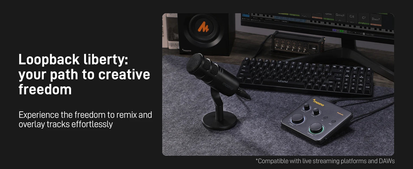 Maono PS22 Lite – USB Audio Interface 24‑bit/192 kHz | XLR Input, Loopback, ASIO Support, DAW Compatible for Music, Guitar & Recording