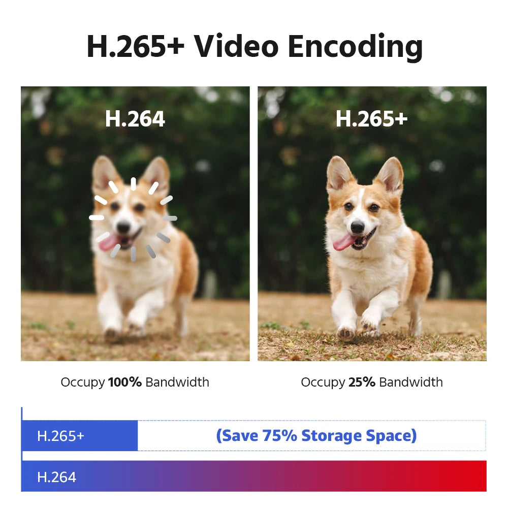 ANNKE 6MP 180° Panoramic Camera | Dual‑Lens, Color Night Vision, AI Detection